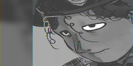 Cover image for Crocodile Complex DEMOS