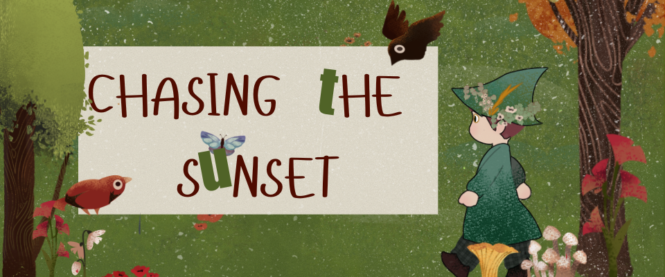 Chasing The Sunset