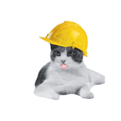 Engineer Engineer