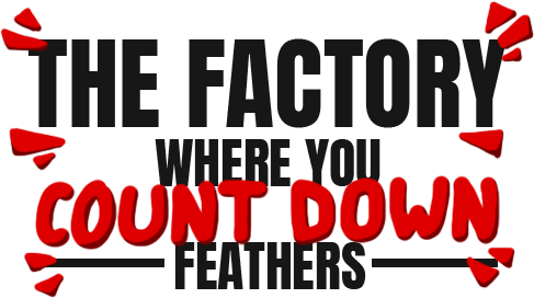 The Factory Where You Count Down Feathers