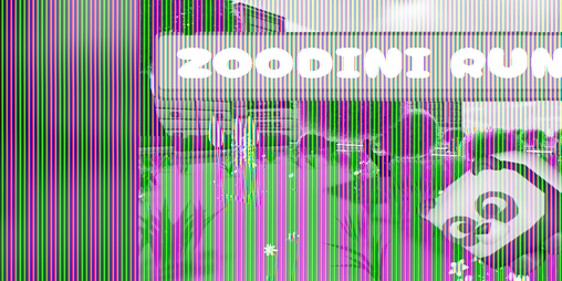 Cover image for Zoodini Run