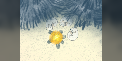 Cover image for Summer is comming