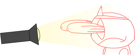FLASH RHYTHM