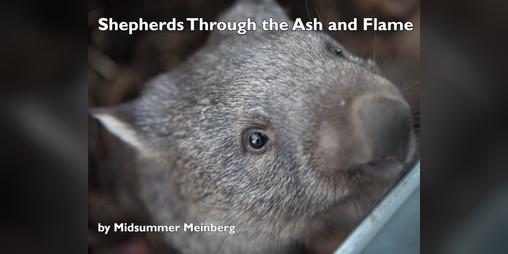 Cover image for Shepherds Through the Ash and Flame