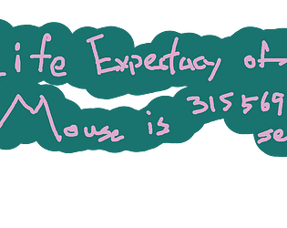 Life Expentancy of a Mouse is 31556952 seconds [Free]