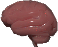 Cover image for Brainworm