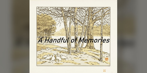 Cover image for A Handful of Memories