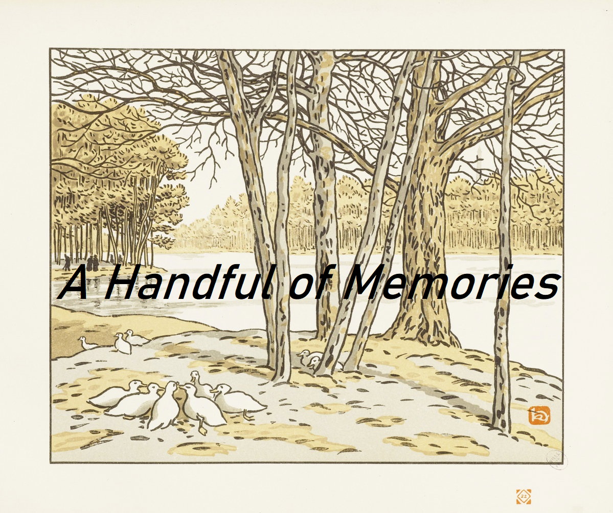 Cover image for A Handful of Memories