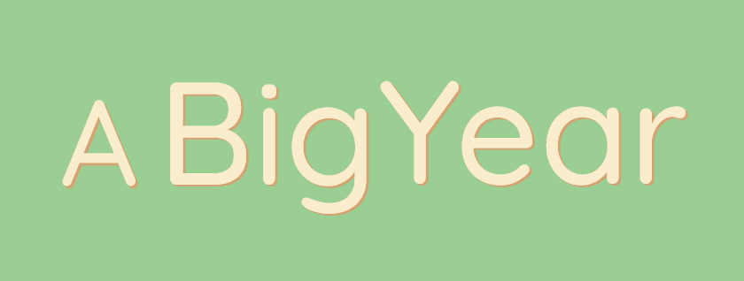 A Big Year: Prototype