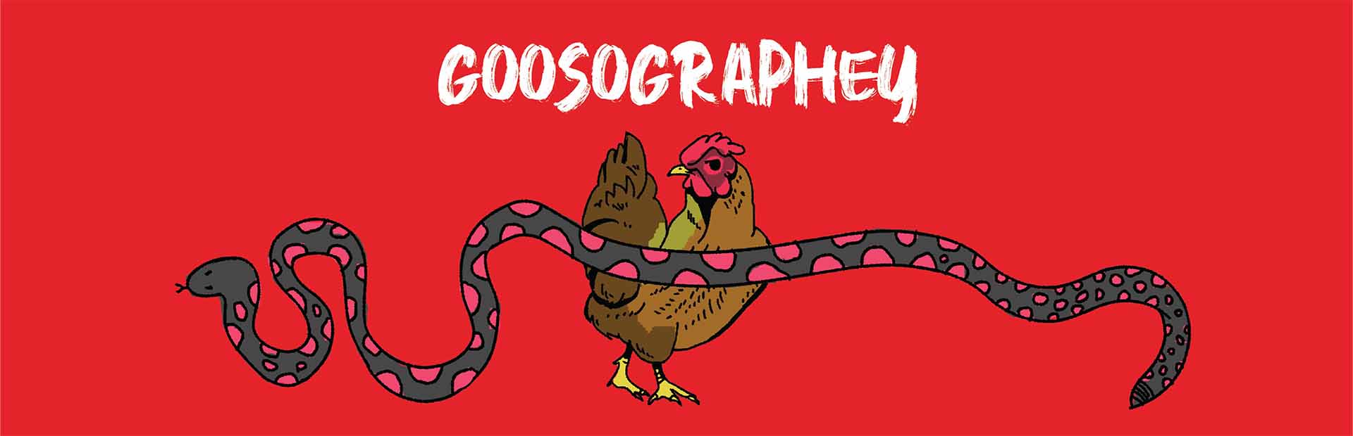 Goosography