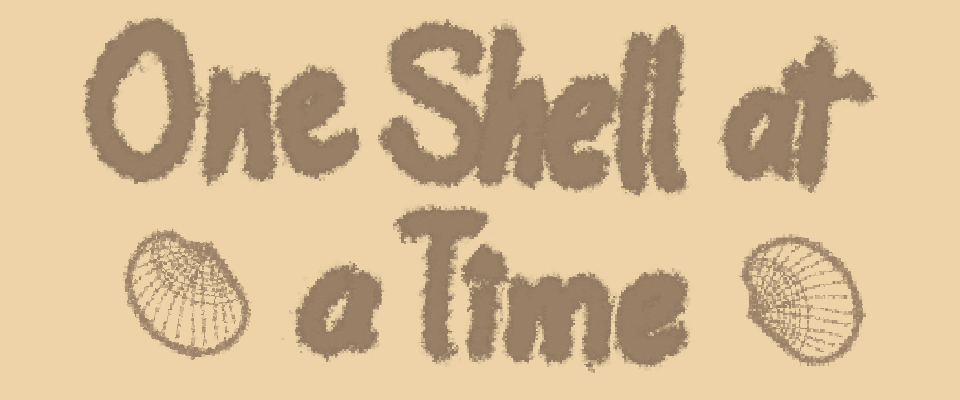 One Shell at a Time