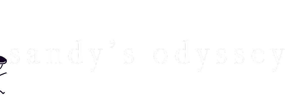Sandy's Odyssey