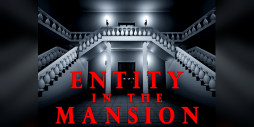 Cover image for Entity in the Mansion