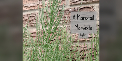 Cover image for A Marestail Manifesto