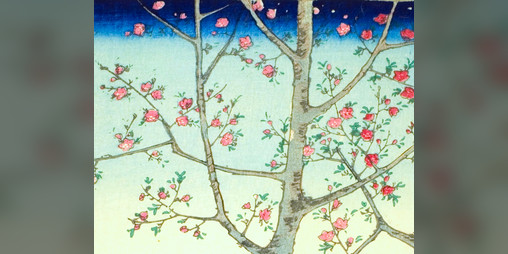 Cover image for A Cherry Blossom Crown