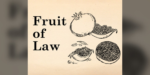 Cover image for Fruit of Law