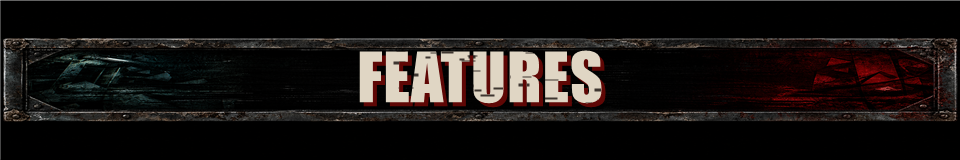 FEATURES