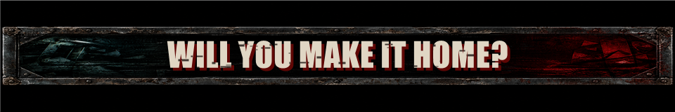 WILL YOU MAKE IT HOME?