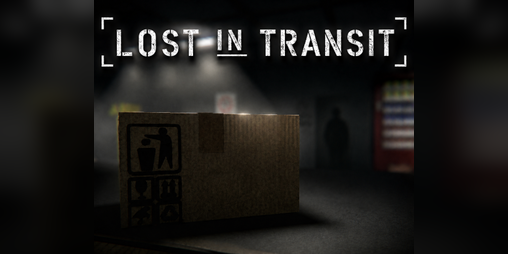 Cover image for Lost In Transit