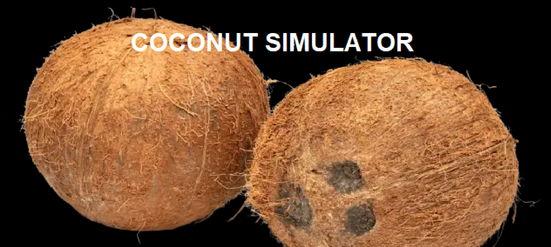 Cover image for Coconut Simulator