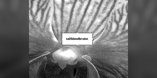Cover image for saltbloodbruise