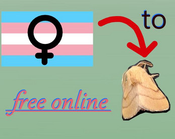 Cover image for Trans girl to moth plushie file converter free online