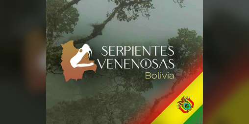 Cover image for Serpientes Venenosas Bolivia/Venomous Snakes Bolivia