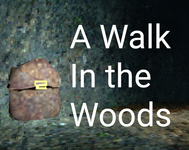 Cover image for A Walk in the Woods