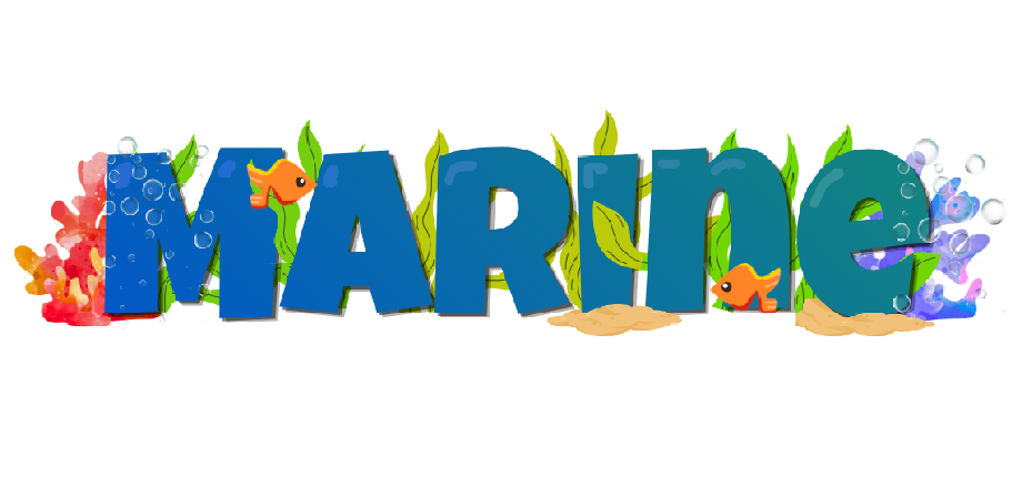 Marine Demo