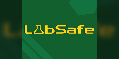 Cover image for LabSafe (Serious Game)