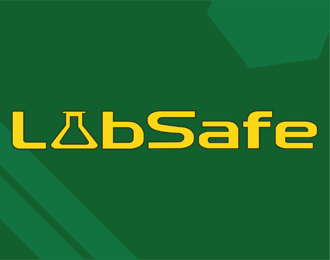 Cover image for LabSafe (Serious Game)