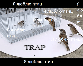 Я люблю птиц