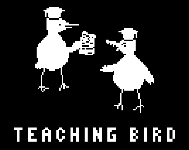Cover image for Teaching Bird