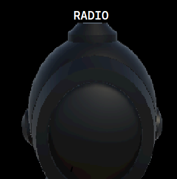 Cover image for RADIO
