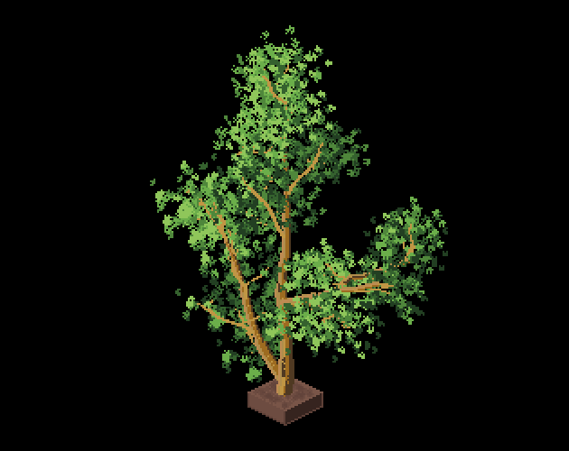 If you are wondering how these trees are produced, be sure to take a look here.