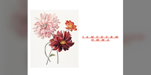 Cover image for I A M Y O U R M O M M A