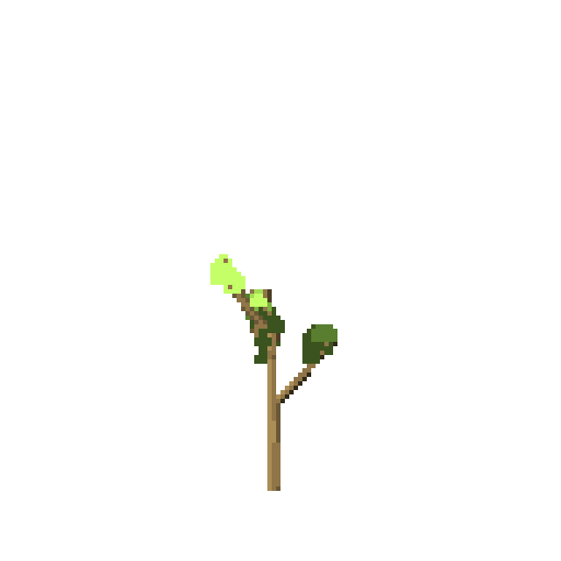 Animated Trees