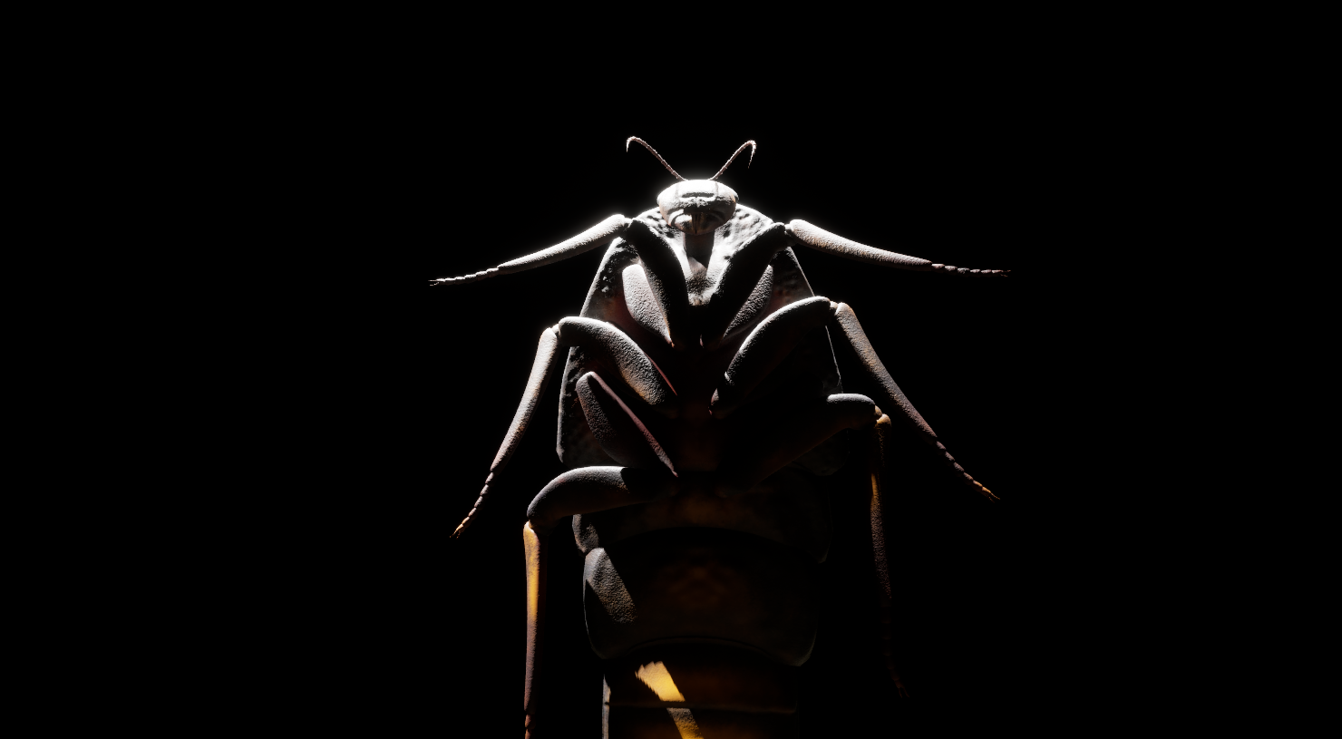 DrillHead
