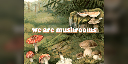 Cover image for We are Mushrooms