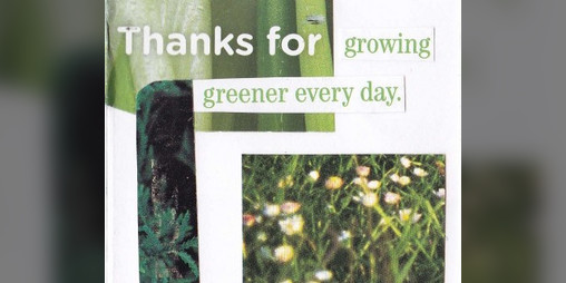 Cover image for Thank you for growing greener every day