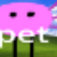 pet race