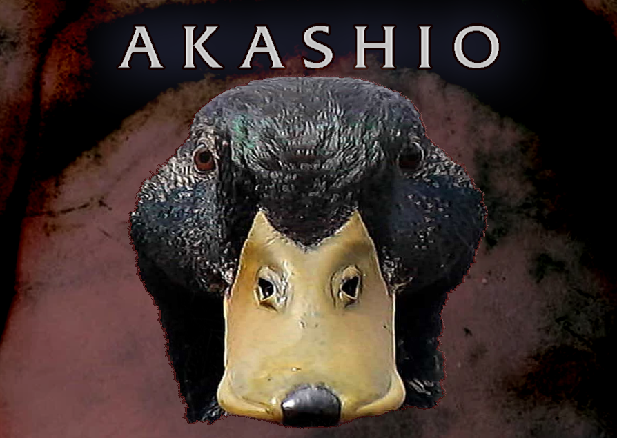 Akashio