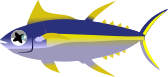 Marea Baja