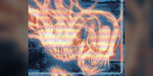 Cover image for Broadcasting Violence!