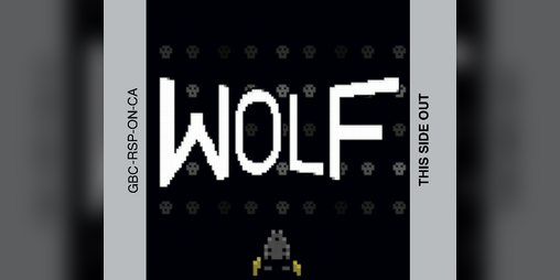 Cover image for WOLF (Game Boy Color)