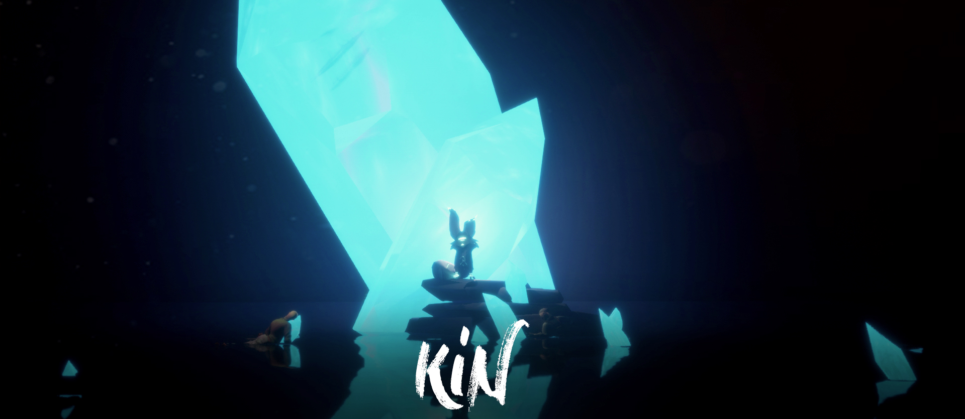 Cover image for Kin