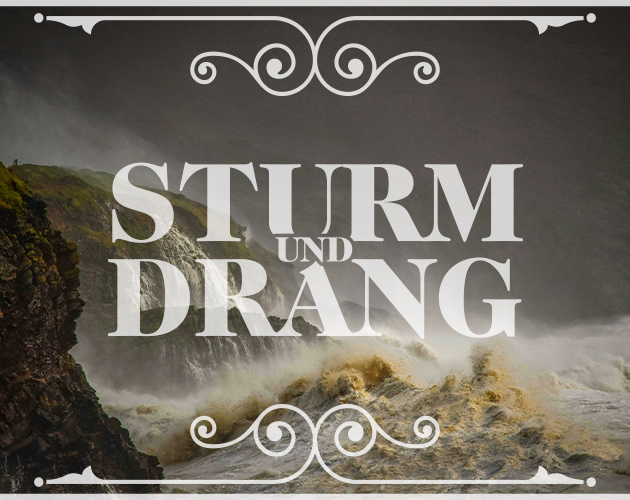 Cover image for Sturm Und Drang