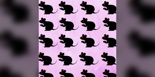 Cover image for real rat hours