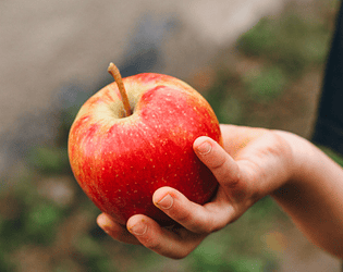 Catching Apples