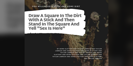 Cover image for Draw A Square In The Dirt With A Stick And Then Stand In The Square And Yell "Sex Is Here"